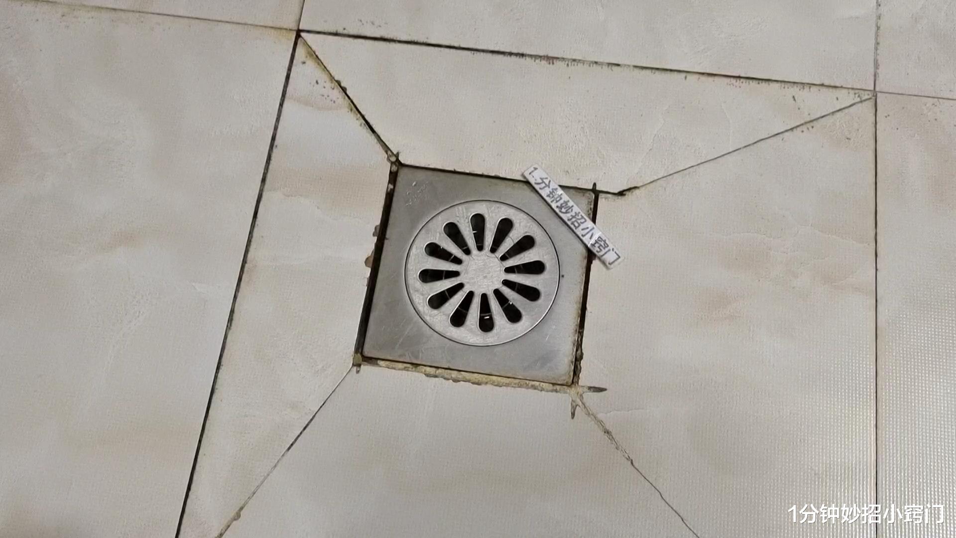 卫生间小黑虫又出来了,只需简单一招,家里再也不会有小飞虫