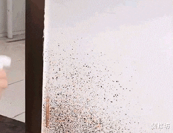 别再被套路了!这4种“脑袋进水”的家居产物,你们还在往家买吗