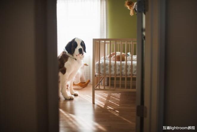 人像摄影怎么运用拍摄角度,让照片脱颖而出!