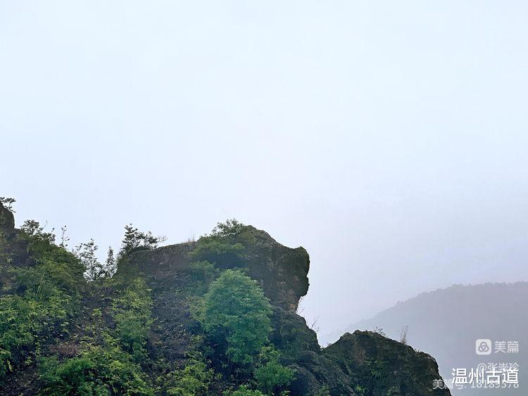 棋盘山|登顶温州12县市最高峰第六站--平阳第一高峰棋盘山和石狗山游记