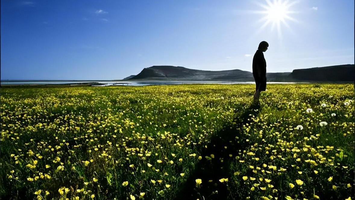 父亲杀死欠百万贷款女儿，这一次，中年人终于被压垮了