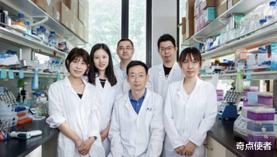 不用受精就能生孩子?清华大学发明神奇药水,科学家:有望获诺奖