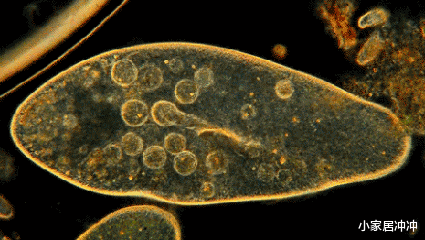 还在门口放“脚垫”?又脏又土气,学学年轻人的做法,干净又美观