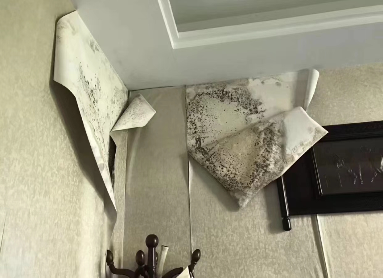 新房入住半年,跟大家分享4个“翻车”装修决定,一个比一个夸张