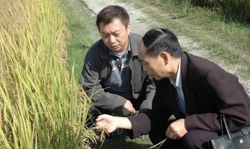 韩综|廖伟雄:退圈下地种田搞农业,20年时间,他从身价0到亿万富翁