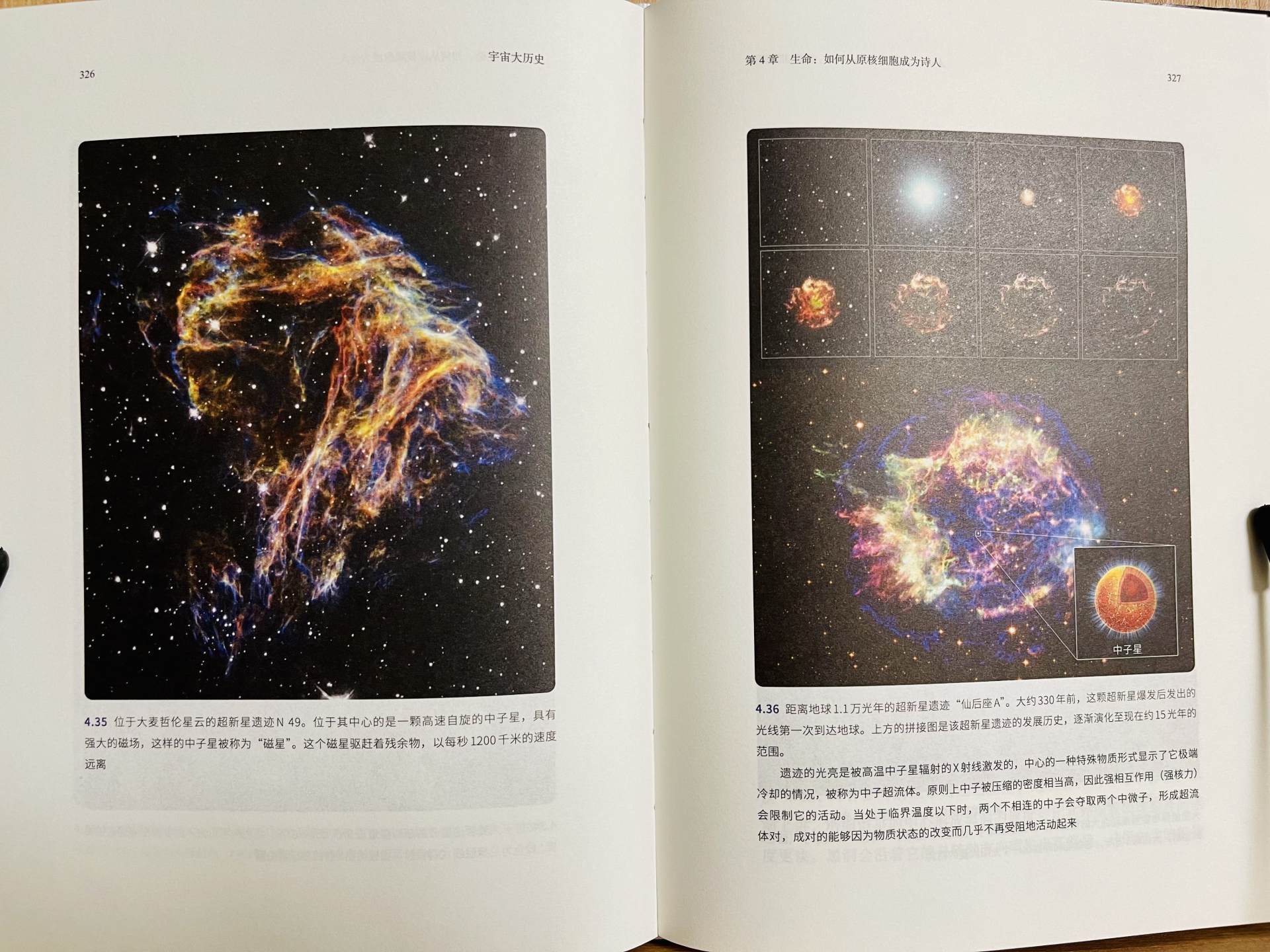 《宇宙大历史》:世间的美好环环相扣