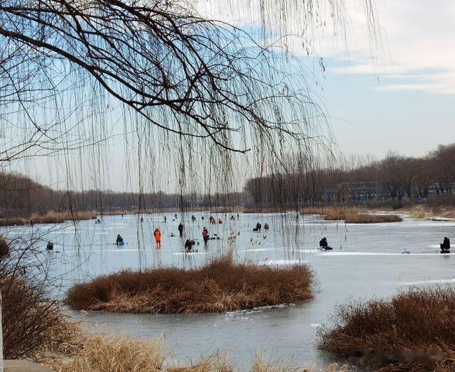 |冰钓开始盛行,冰钓需要注意啥?