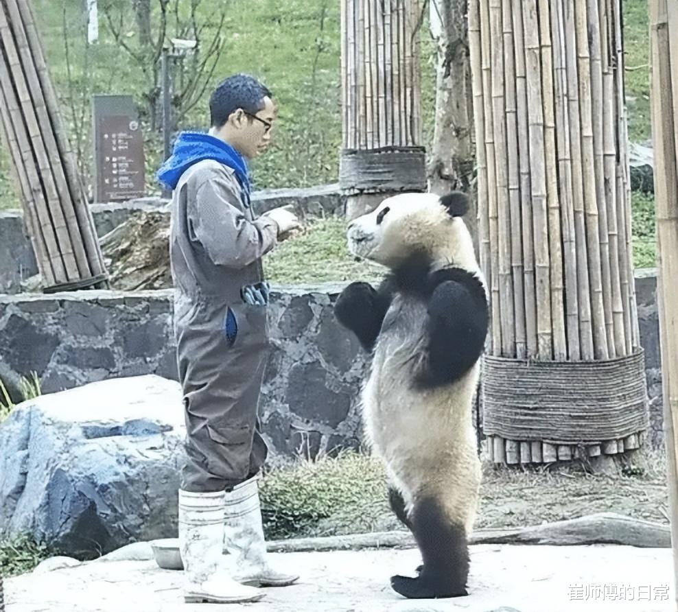 发型|“毕业照老师坐的这个位置，发型浑然天成啊！”笑岔气了！