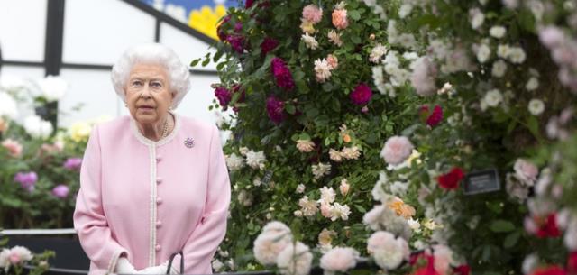 红眼|女王唯一的原配儿媳:苏菲为婆婆守灵哭红眼,卡米拉摆出王后姿态