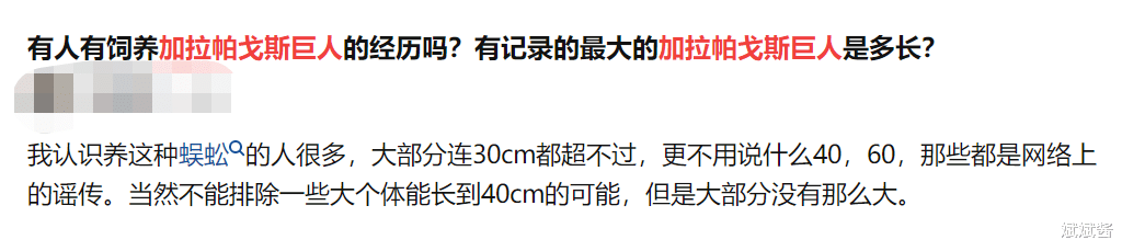 五条“最毒蜈蚣”被海关截获,它能抓蝙蝠和斗毒蛇,公鸡能降服它吗?
