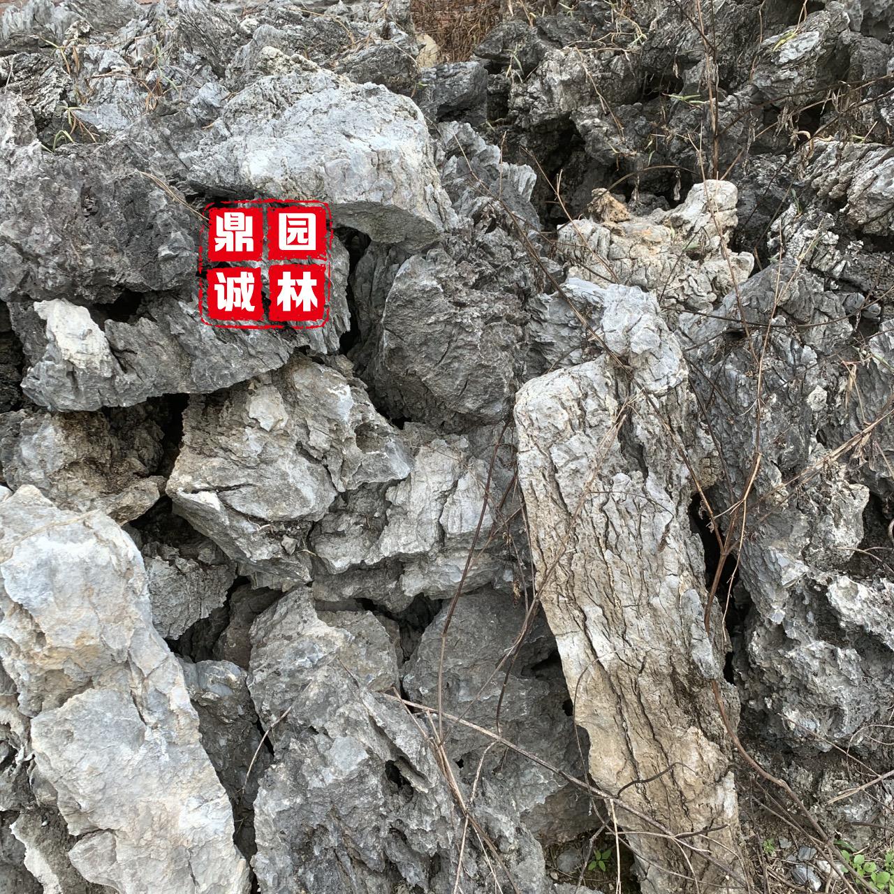 英石青龙石纹理鱼缸摆放观赏造景石