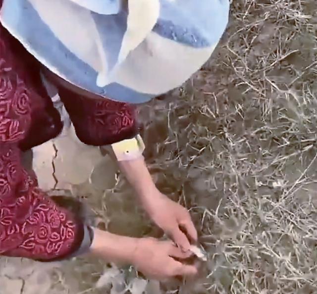 |钓鱼界的“神雕侠侣”！八旬老夫妻结伴钓鱼，网友：最浪漫的事