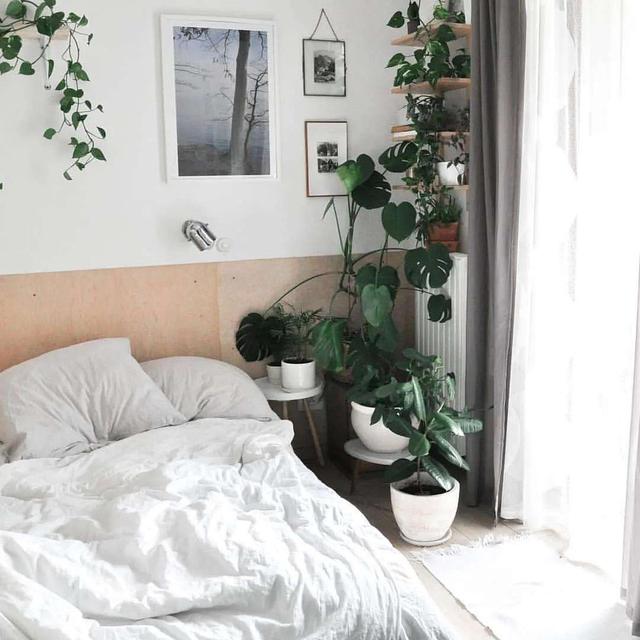 安徽|床头三不靠五不摆:这不是迷信,是踩了无数坑以后总结出来的经验