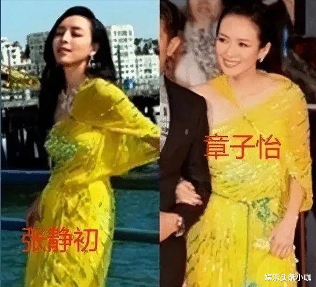 张静初|实惨,插足导演是假的,被陷害退圈?