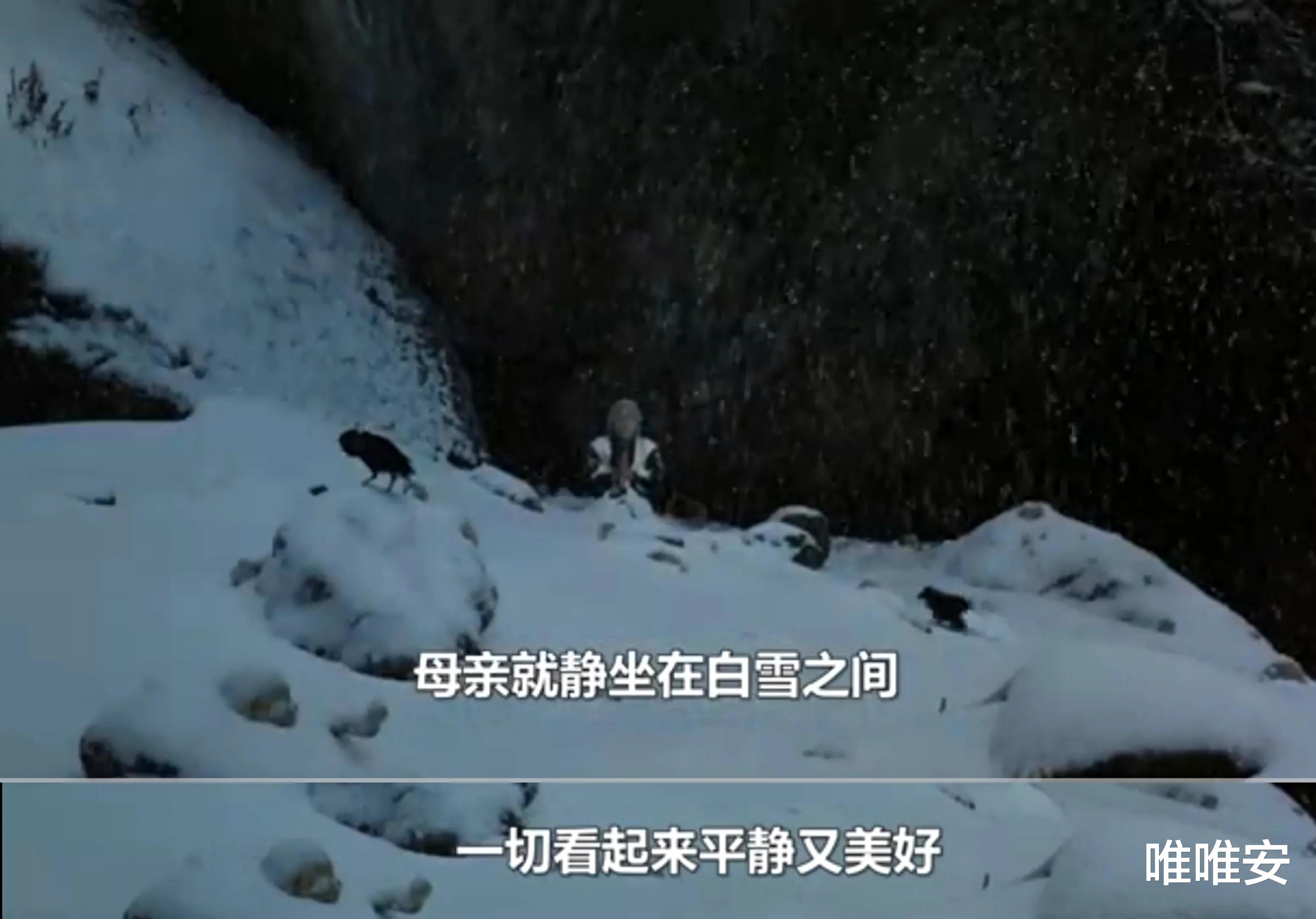 楢山节考|《楢山节考》：充满禁忌的日本电影，人性被践踏到了极致