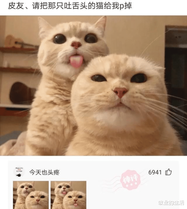 牛仔裤 把睫毛液当成眼霜的后果,看效果可以用到发际线试试!