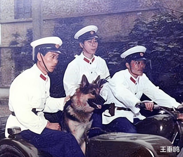 1980年安阳一家四口中毒丈夫身亡,妻子反复叨唠一事,引警方怀疑