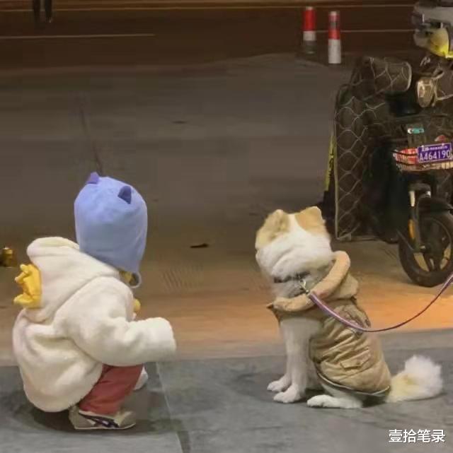 高等教育|女性不愿意生孩子是因为学历太高?高等教育:这个锅我不背!