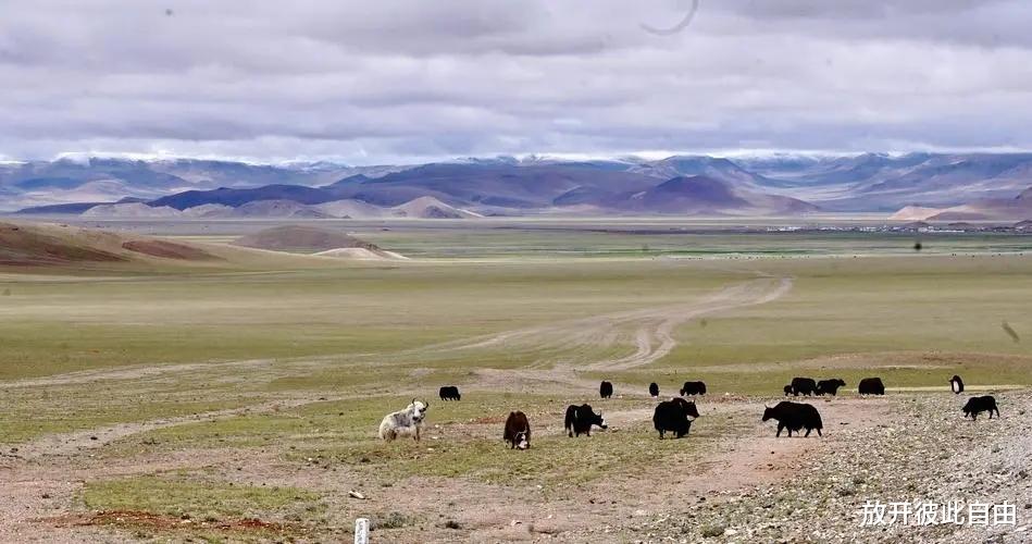 |藏水北调到底应该如何走？管道运输势在必行