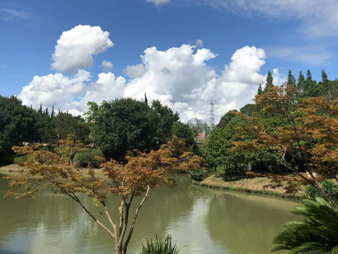 |在奉浦四季生态园，一起来看“水晶天”