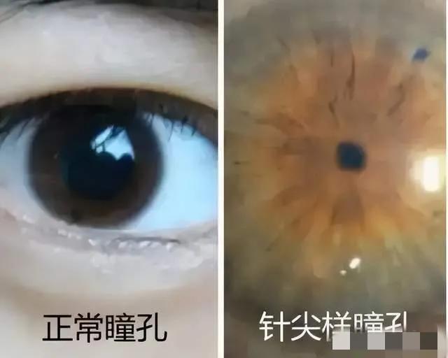 1998年的“七仙女案”:7名女生惨死,女高中生仍与她们同吃同住