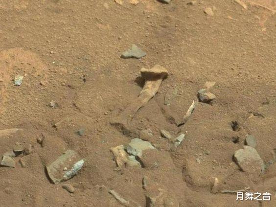火星真的存在生命,火星发现恐龙古化石?
