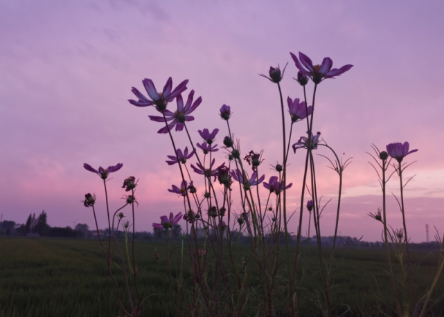 穿衣搭配|哪些属相的人，今年上半年挣钱最多，好运来了挡不住，更上一层楼
