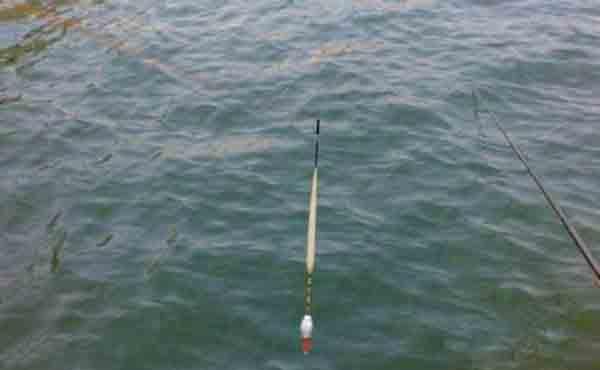 |野钓：不建议随时操作调钓，但这几种情况除外