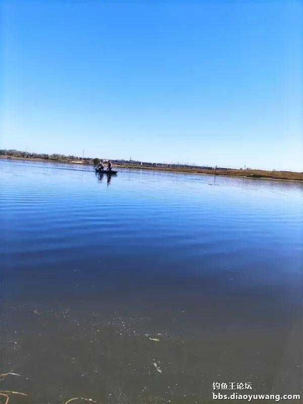 钓鱼|与天斗与人斗，斗智斗勇。今晚吃鱼终吃鱼