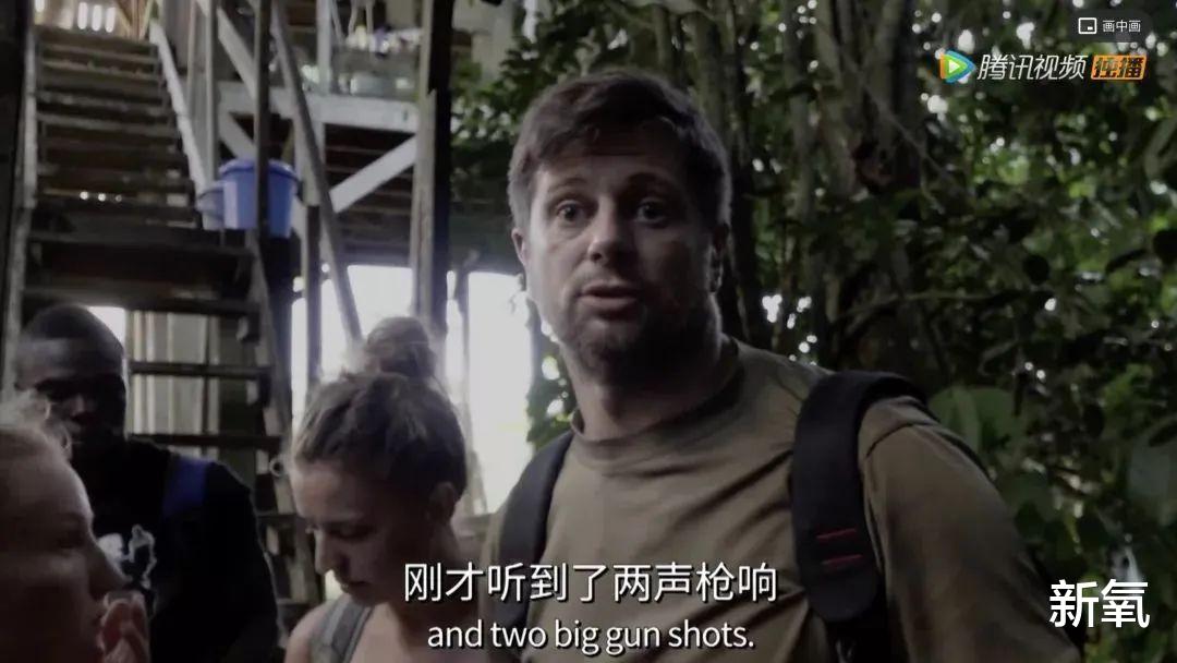今年夏天到底有多热,北极可以为你见证!