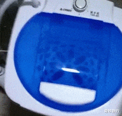 董子健|孙怡、董子健财产或已分割完毕，婚变时间曝光，婚姻六年未办婚礼