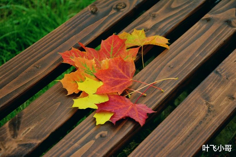 生肖|3个生肖福气足,财运旺,人生不平凡!