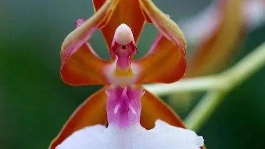 |职场新人最容易犯的3个错误！