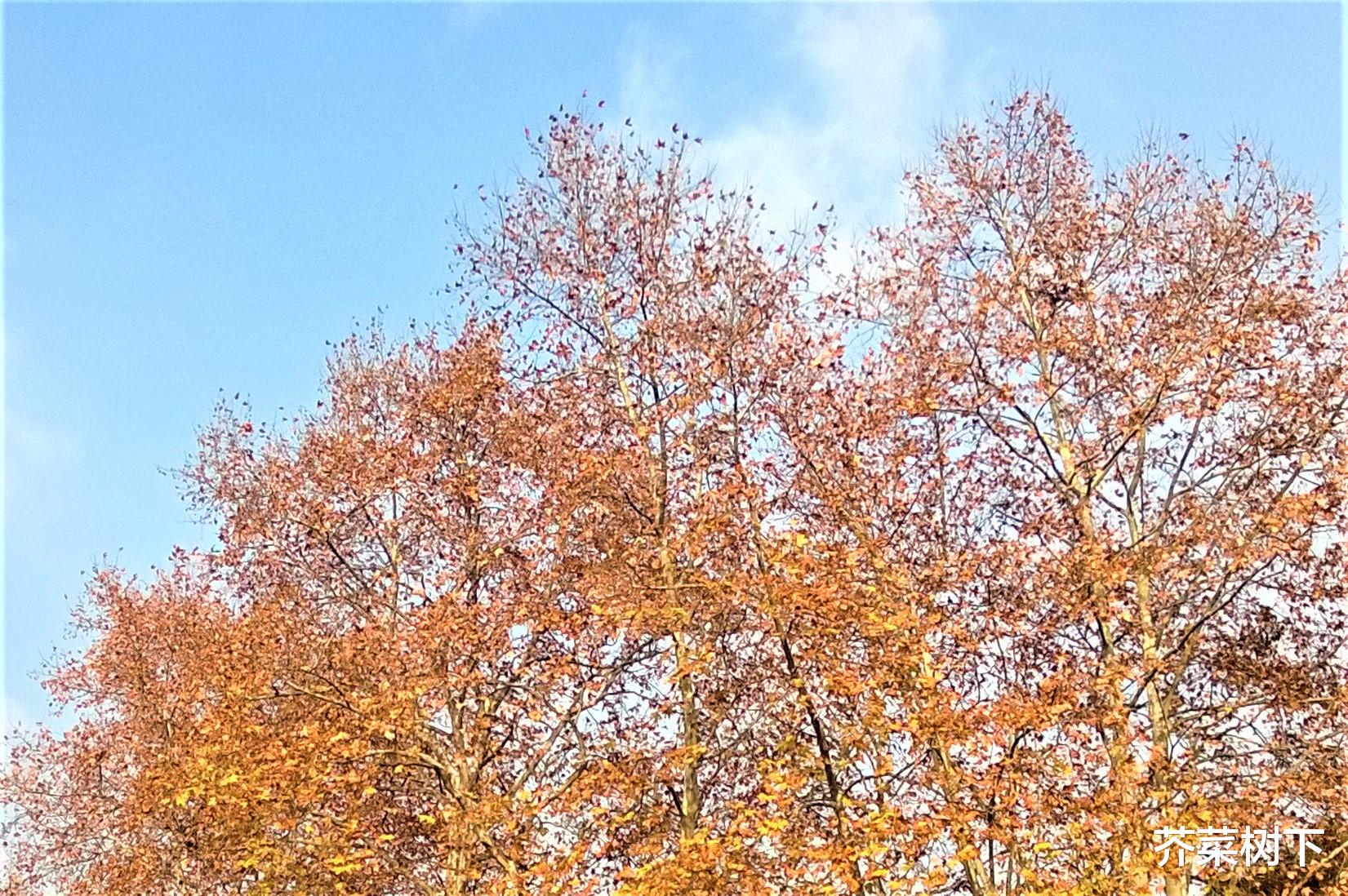 |职场上，防患于未然