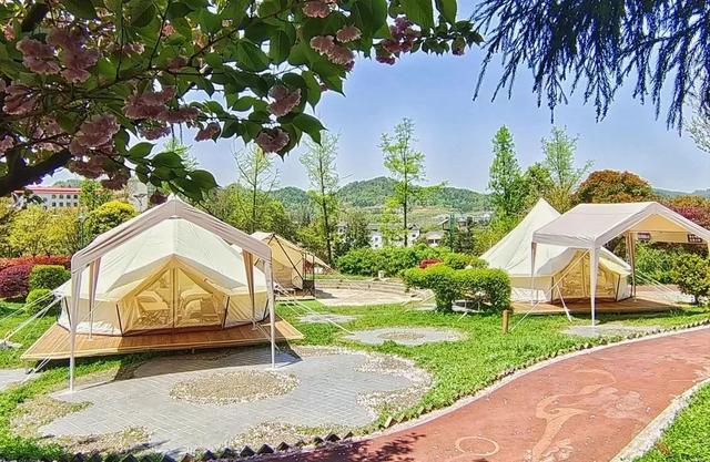 |“爽爽贵阳”火起来！央视《新闻1+1》关注贵阳露营发展