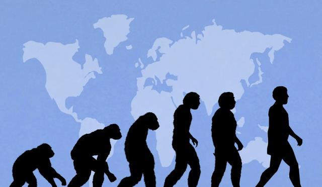 让人细思极恐的实验:崩溃的25号宇宙,完美乌托邦不可能存在吗?