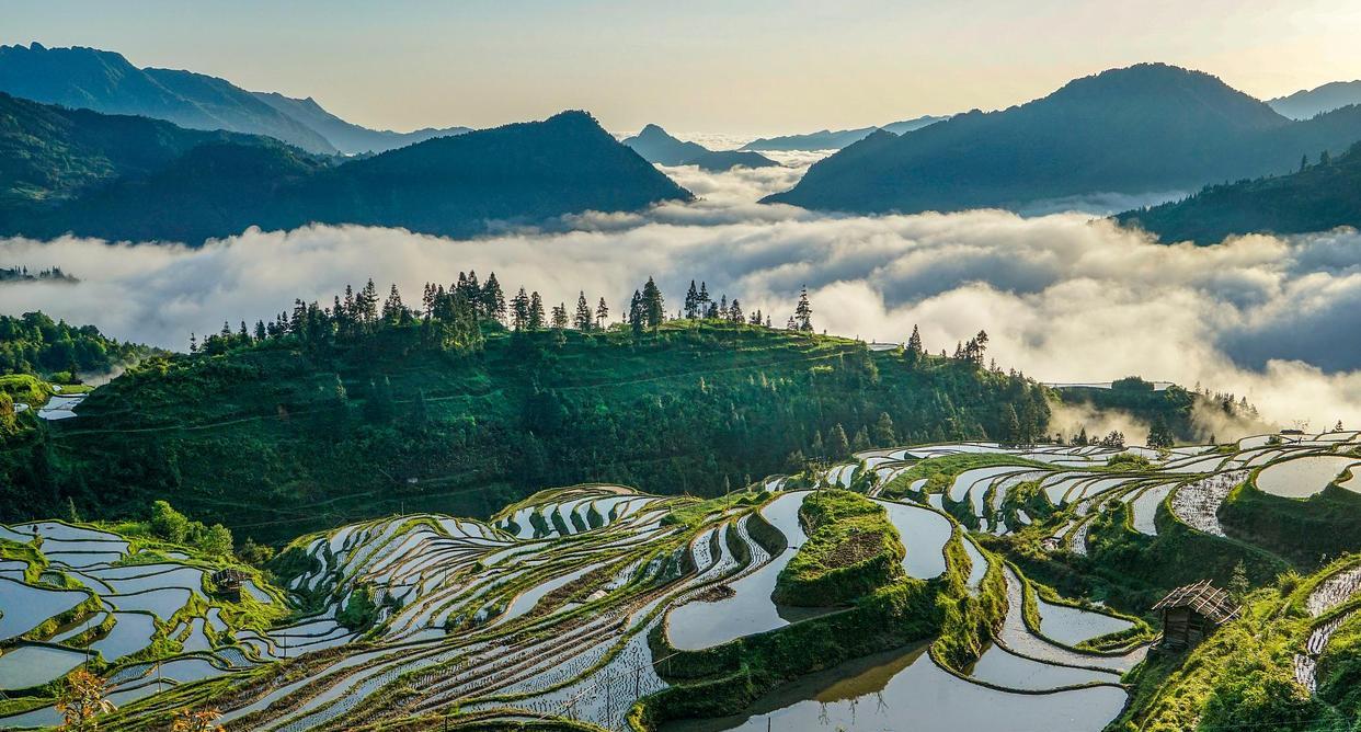 宝鸡|多彩贵州,七彩云南,到底有多出彩?又有何不同?