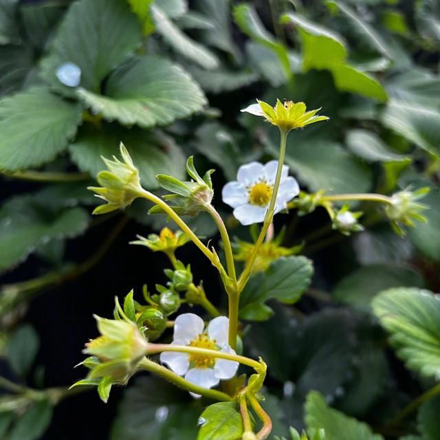 林允|26岁林允晒出北京的豪宅走红网络，全屋乱到极致，网友：很真实！