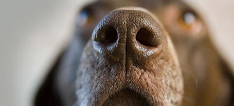 文玩|流言止于智者,盘点文玩圈盛传的几大谣言,看完就别再被骗了!