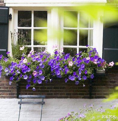 小小窗台变花园,瞬间提高家园的魅力