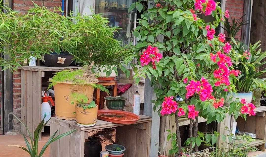 面试|土重水囚的生肖