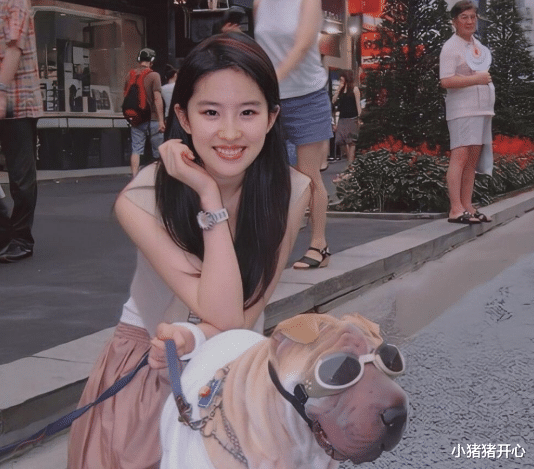 刘涛|亮瞎眼！明星烤瓷牙变灾难，嘴包不住牙、嘴凸、变老、演戏还难看！