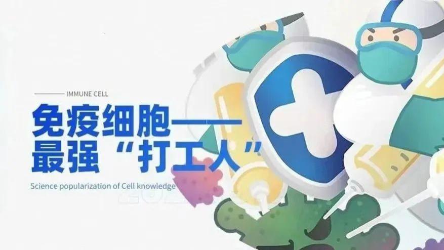 面对精疲力尽的免疫细胞，如何让它“满血复活”？