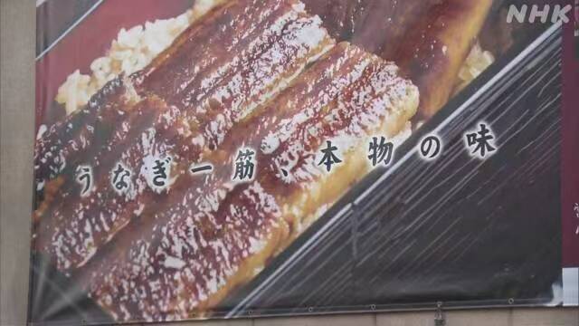 日本一连锁店用中国产鳗鱼充当日产被查,称中国产更便宜,鱼又大又软