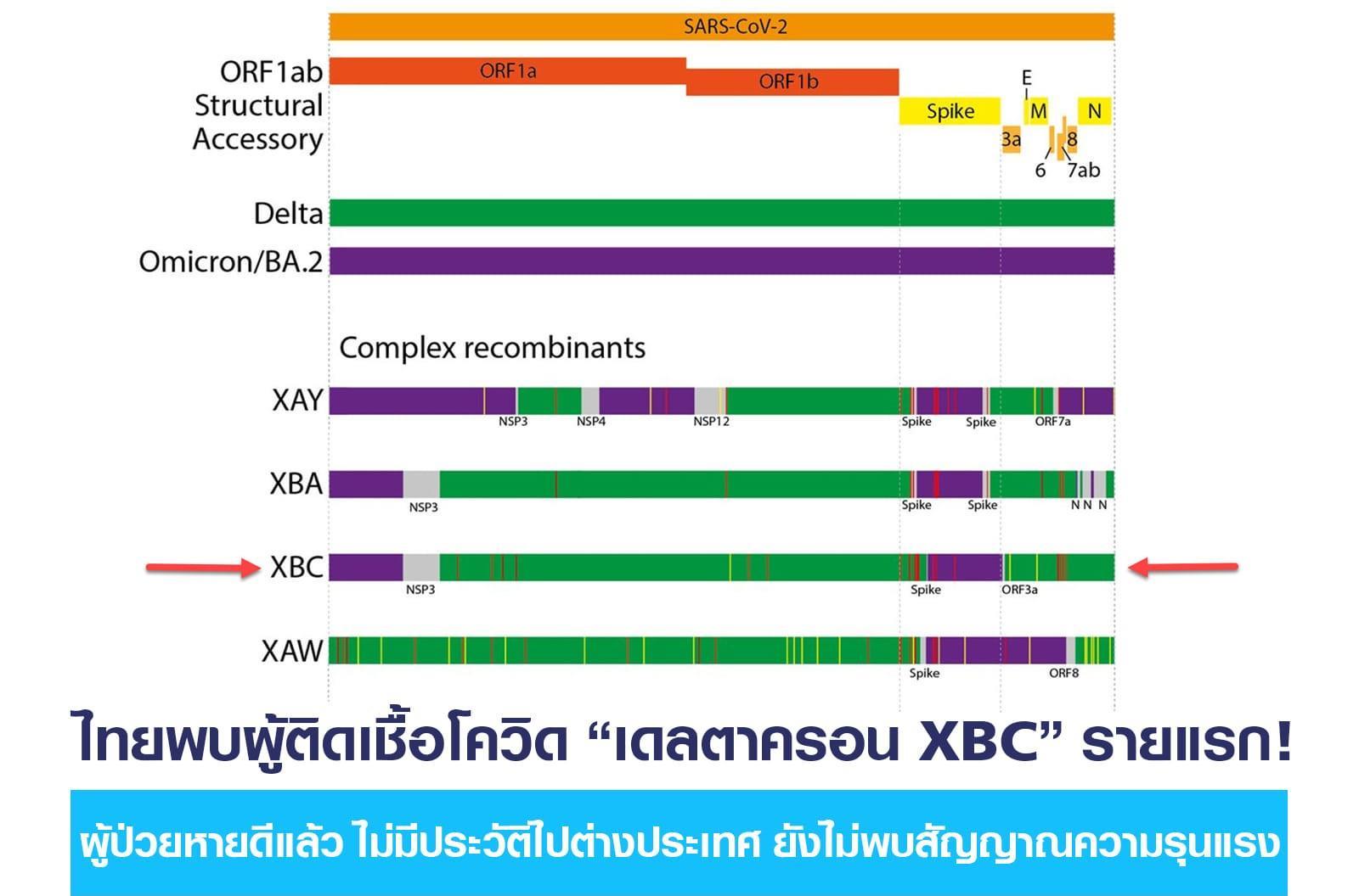 泰国发现首例XBC变异毒株感染病例
