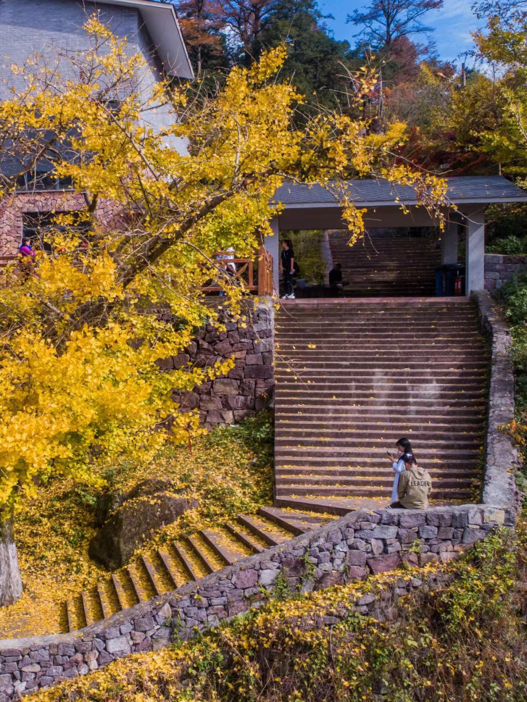 宁波|宁波三个绝美赏秋地！一起去感受秋日的美好