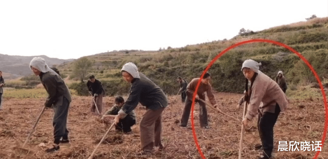 邵雨轩|“村妇”别瞎演!把赵丽颖、秦海璐和刘琳放一块看,高下立判