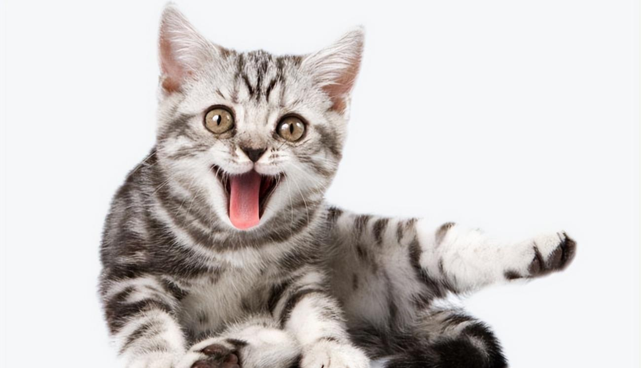 杨幂|历尽挫折，才知道毕业于名牌大学的重要性