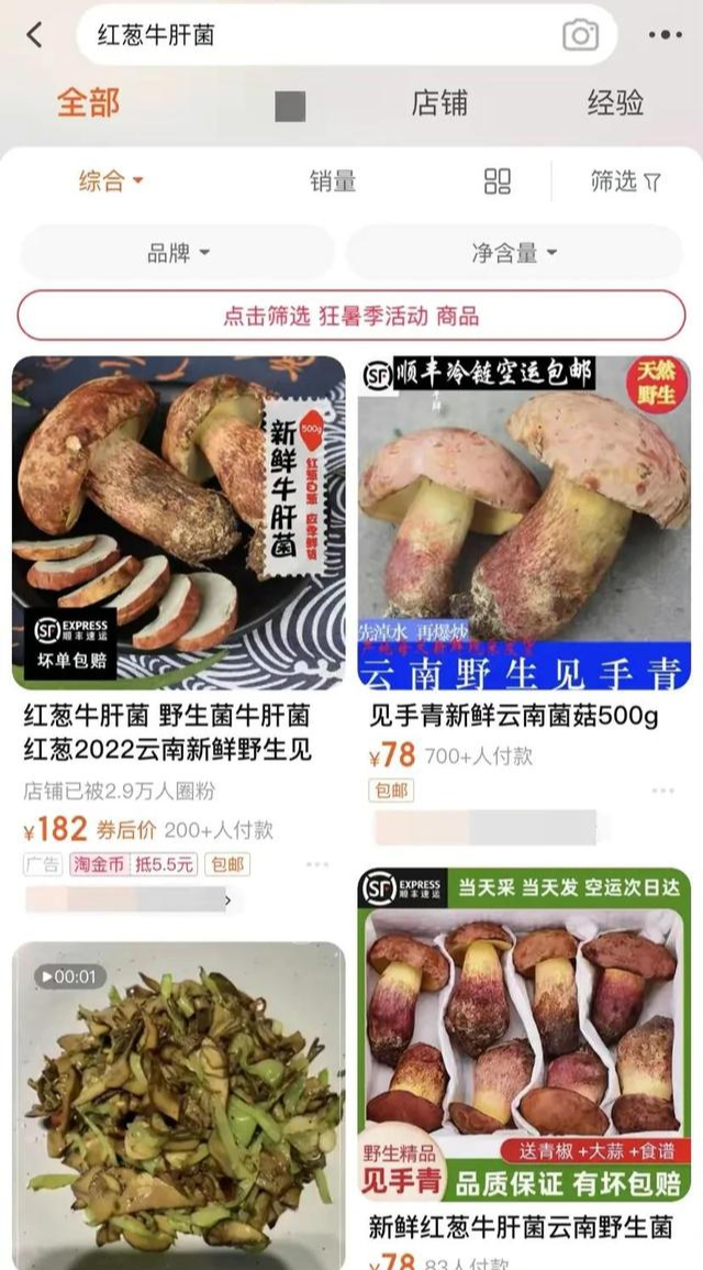江西女子网购见手青,又炒又煮近30分钟还是中毒了!送入ICU血透