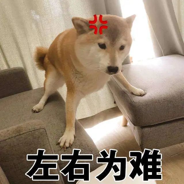 求职|职问|错第一份工作，我后悔了10年……